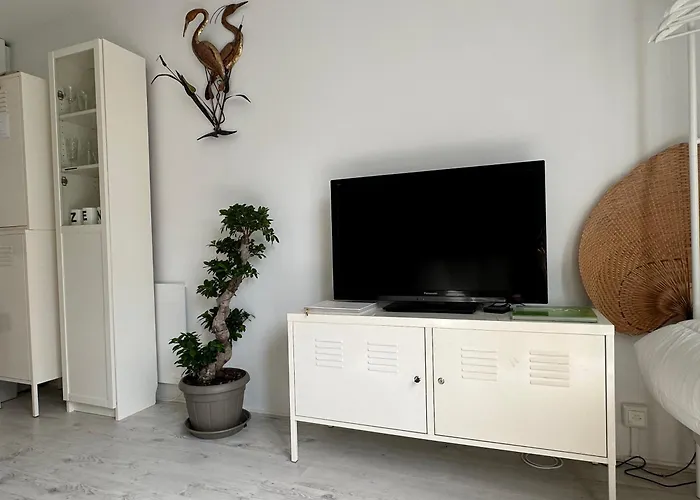 Zen in Schoorl